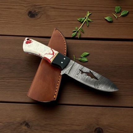 Handmade custom shark cut out hunting knife